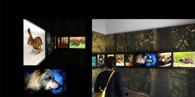 Ambiente Luce | Museo della foto