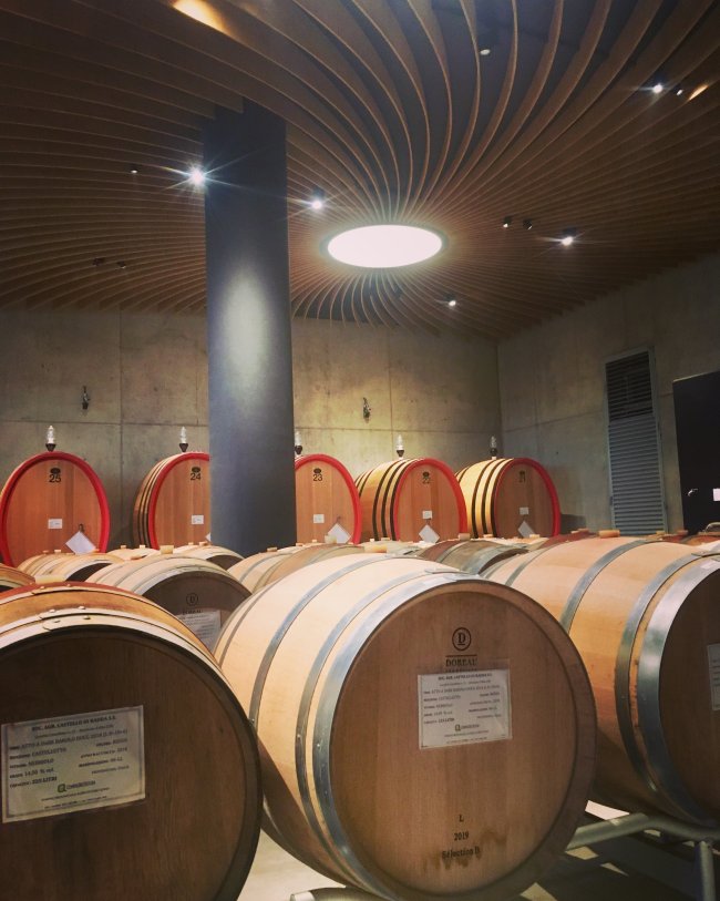 Ambiente luce |  Cantina Fortemasso Alba