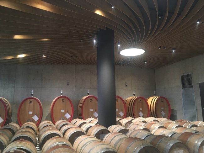 Ambiente luce |  Cantina Fortemasso Alba