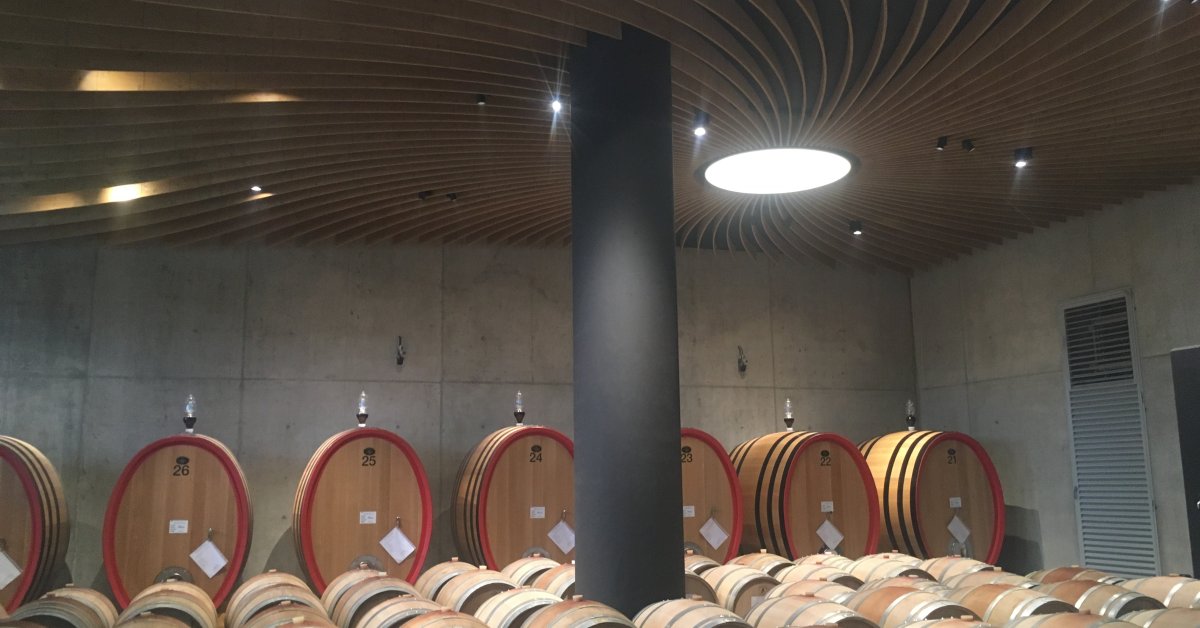 Ambiente luce |  Cantina Fortemasso