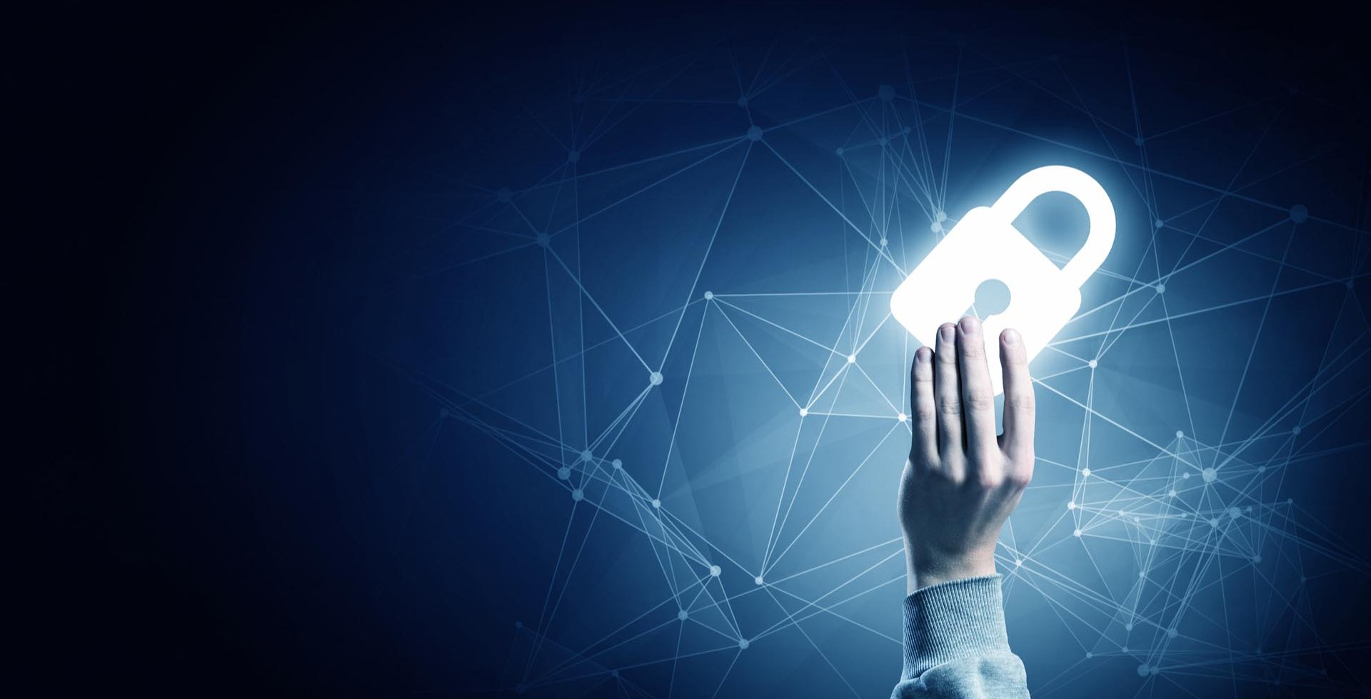 Ambiente luce | privacy policy 